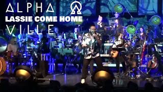 ALPHAVILLE LASSIE COME HOME HANNOVER THE SYMPHONIC TOUR