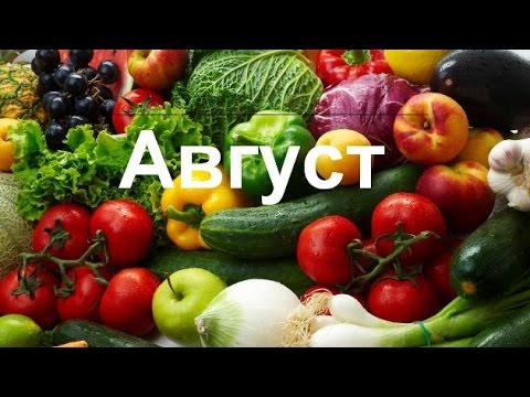 Смотреть Гороскоп для всех знаков зодиака на август видео Смотреть Гороскоп для всех знаков зодиака на август видео