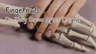 Do Hair and Nails Grow After You Die?