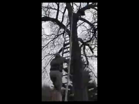 camera iphone 8 plus apk Wildlife Control Services | Bird Removal And Rescue