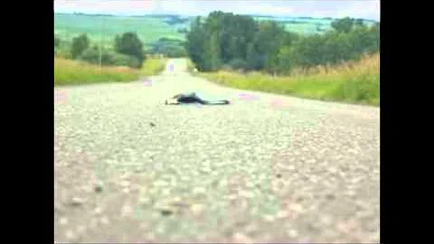 DEAD SKUNK IN THE MIDDLE OF THE ROAD - LOUDON WAIN...