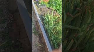 26.07.2025 Республика Мордовия, Рузаевский район, посёлок Плодопитомнический. Тротуарны бордюр.