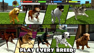 Stray Dog Simulator Android Gameplay Tablet APK Official Trailer Video HD screenshot 5