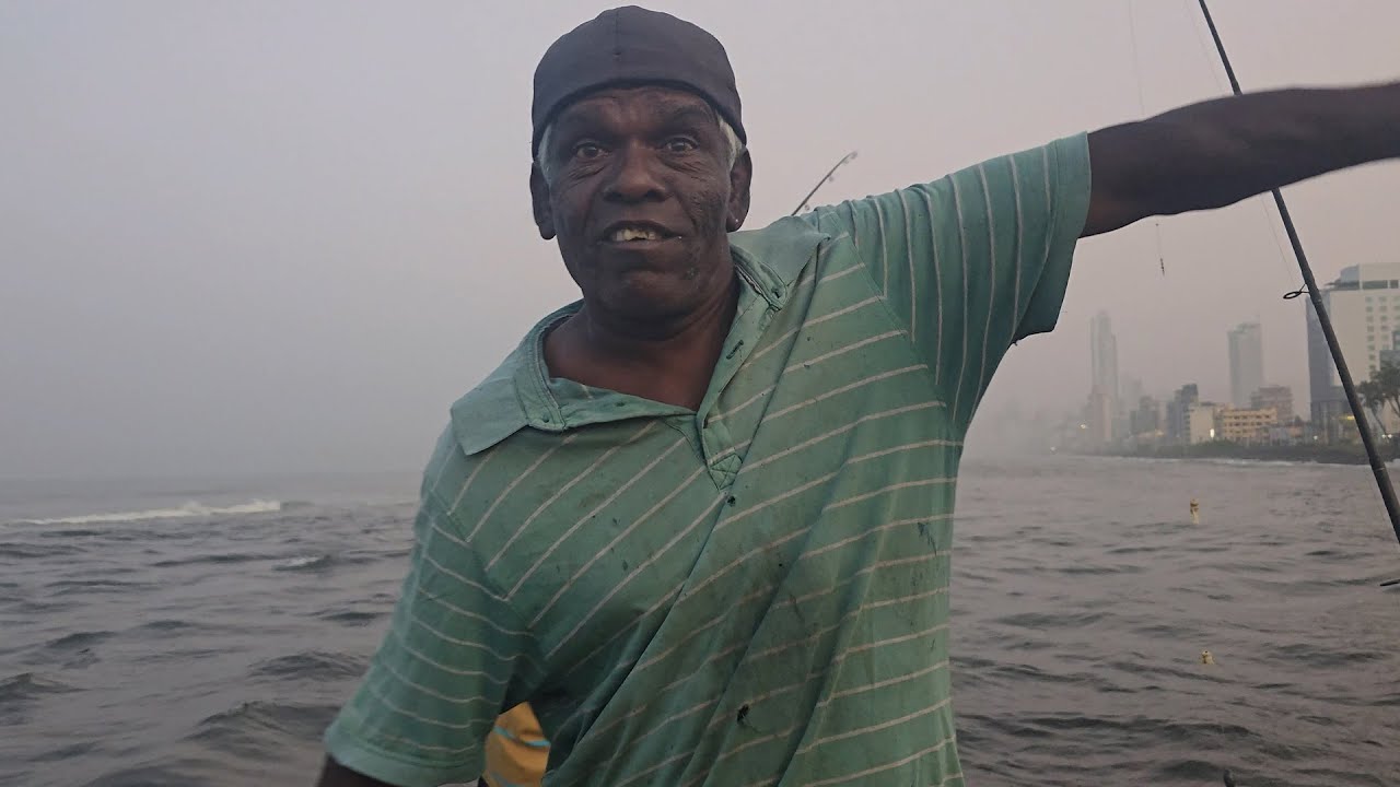 ඉක්මනට වරෙන් කොහොමද මාළු කනවිදිය | Fish Everywhere Today!