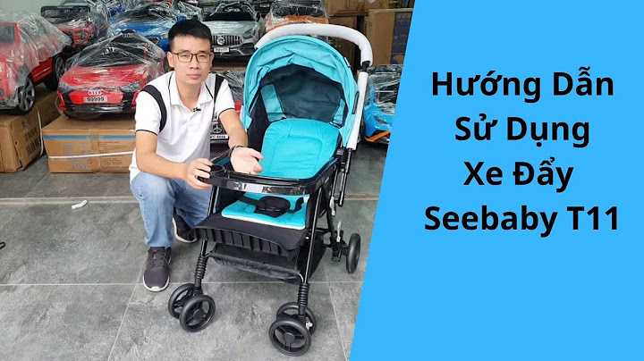 So sánh xe đẩy seebaby t11 và t11a năm 2024