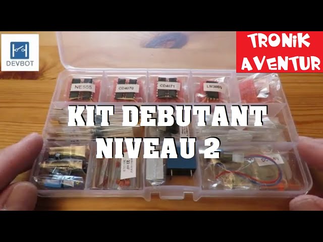 Kit Débutant Niveau 1 Thonain : Apprentissage et expérimentation  électronique