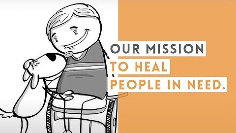 Our Mission to Heal People In Need // Service Dogs in Action at Project 2 Heal
