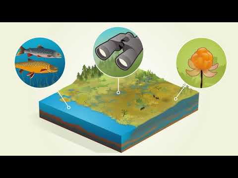 Video: Vilka är fördelarna med våtmarker?