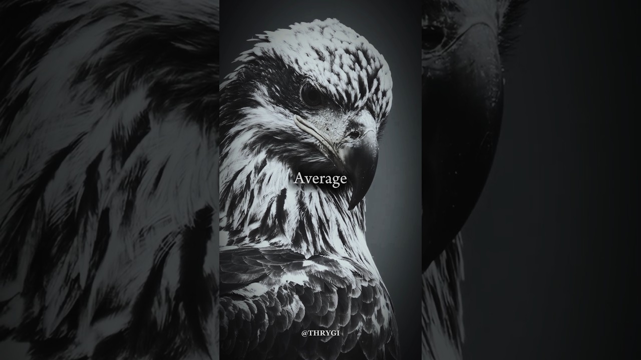 SELF IMPROVEMENT Lies That Keep You Average (Last One Is Everywhere) 