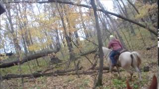 Horseback riding in Wisconsin 10 17 14 WildCat 3