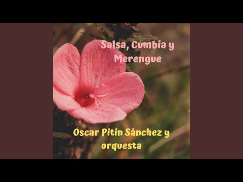 Guarda Valiente su YouTube Guarda Valiente su YouTube