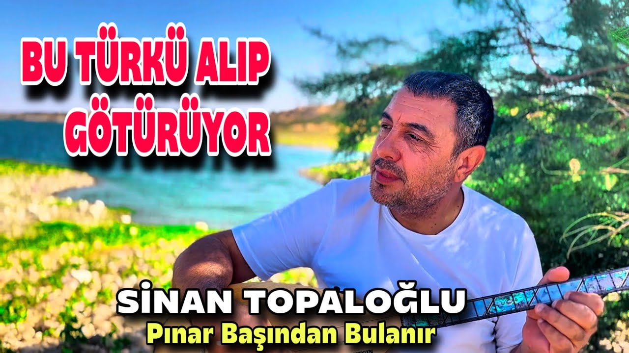 File:Panel aves pinar.jpg - Wikimedia Commons, image size:1280x720