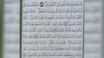 سورة فصلت الآية من ٢٤ الى ٢٨ (24~28) {اللهم اجعل القرآن لنا في الدنيا قرينا}