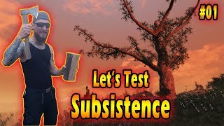 Survival mit Axt und Pistole! Let's Play SUBSISTENCE #01 Gameplay deutsch/german | Let's Test