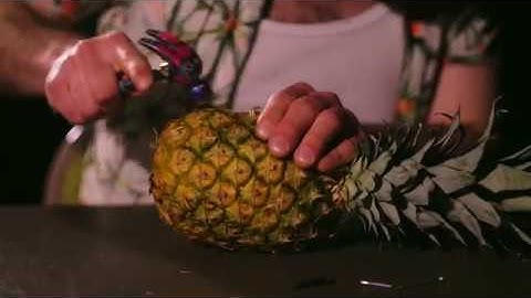 J Blissette - A Series of Observations (Official Video)