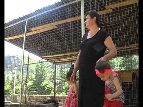 ვინ სად ამჯობინებს დასვენებას