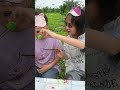Hai chị em thi ăn kẹo dẻo bất ổn #shorts