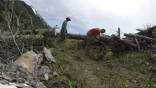 Crosscut Saw by Evan Smith 159 views 3 years ago 1 minute, 40 seconds