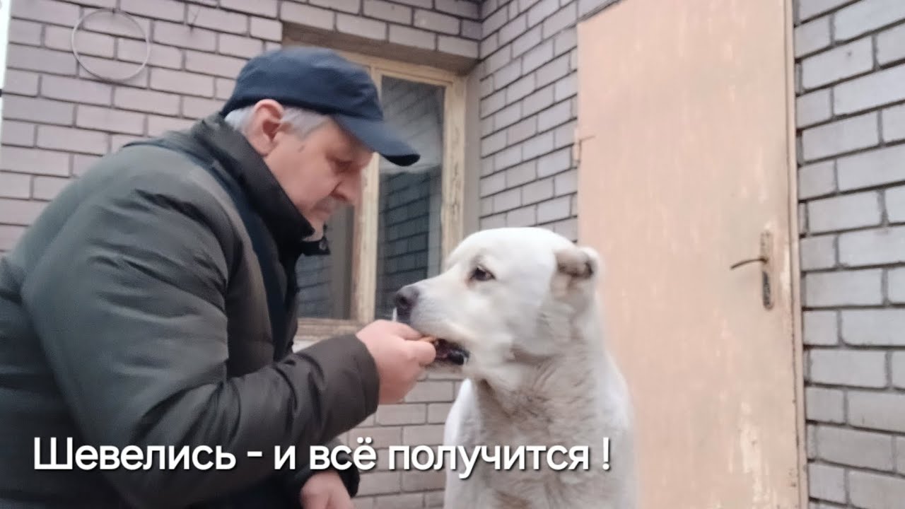 13 февраля 2026 г.