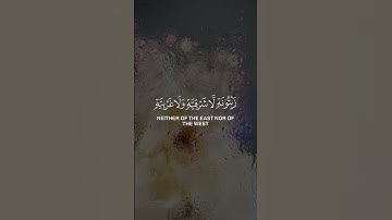 الله نور السموات والأرض | تلاوة خاشعة مؤثرة | ياسر الدوسري