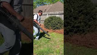 PINE NEEDLE TRICK