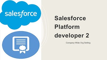 Platform developer 2 certification- Company-Wide org settings