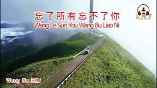 忘了所有忘不了你 Wang Le Suo You Wang Bu Liao Ni   Wang Na 王娜   Vocal