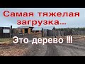 Дальнобой по России. Грузимся деревом. Попал у гололёд. Едем домой.