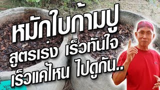 หมักปุ๋ยใบก้ามปูในวงบ่อ สูตรเร็วทันใจ เร็วแค่ไหน ไปดูกัน @krusawat