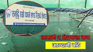 प्रयाप्त जमिन र पोखरी बिनानै माछा पाल्ने प्रविधि ||  तीन युवाले यसरी गरिरहेछन पालन