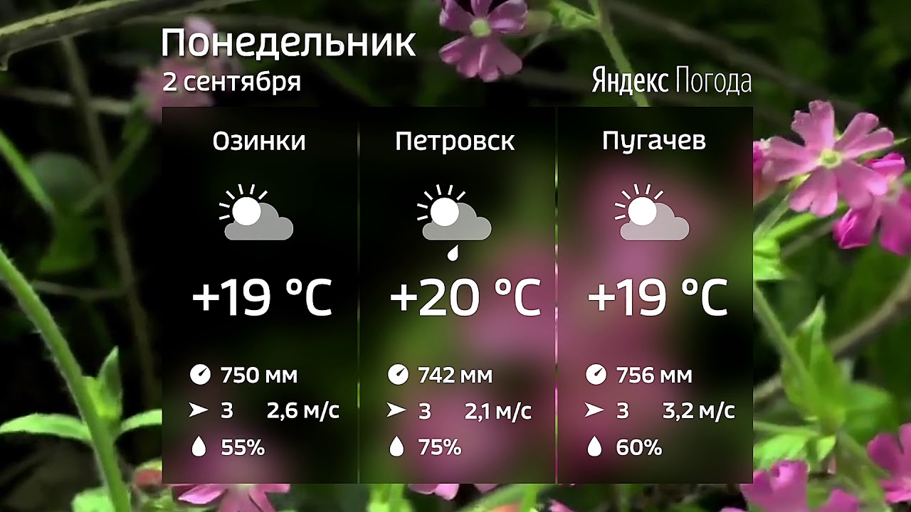 Каско на 10 дней
