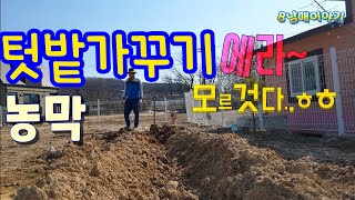 농막농작물준비과정   텃밭가꾸기농작물재배 올해농사 강화도농막
