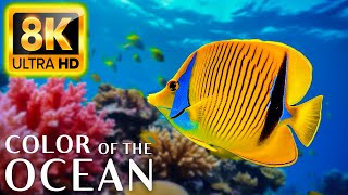 Colors Of The Ocean 8K Video ULTRA HD - The best sea animals for relaxing and soothing music #23