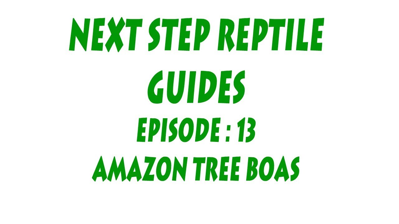 reptile care app Intermediate Series : Episode - 13 Amazon Tree Boa (Corallus hortulanus)