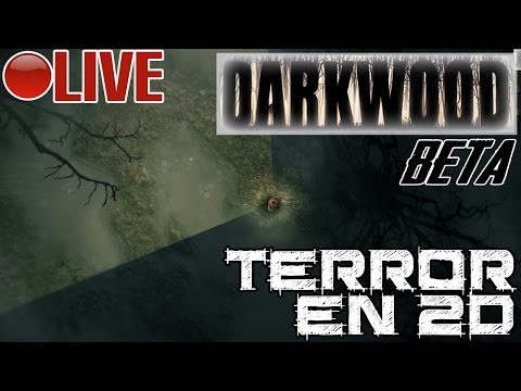 Vídeo: La Aventura De Terror De Arriba Hacia Abajo Darkwood Llega A Steam Early Access