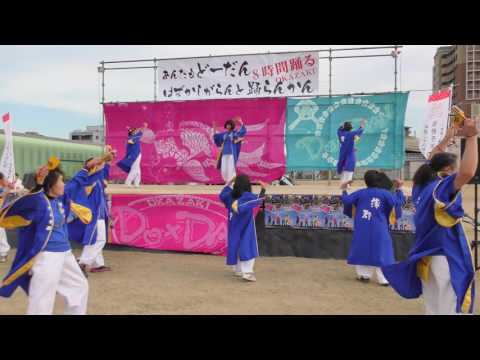 「紀の国やっちょん」あんたもどーだんはずかしがらんと踊らん会2016