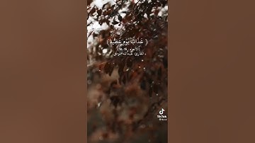 { وإن يمسسك الله بضرٍ فلا كاشف له إلاهو } القارئ: عبدالله الموسى