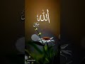Quran Urdu translation surah #youtubeshosts #quranictranslation #motivation #history #duet #quotes
