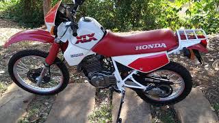 Honda XLX 350, a Bruta Reduzida Atualizada