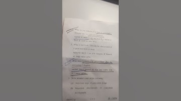 2022 Question paper of university of lucknow,B.Ed🙀 Theoretical foundation of curriculum.