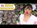 40 NUEVOS CACTUS Y SUCULENTAS QUE TRAJE DEL VIAJE │Candy Bu