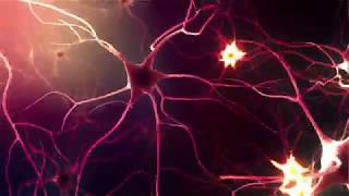 Neurons or Nerve cells Resimi