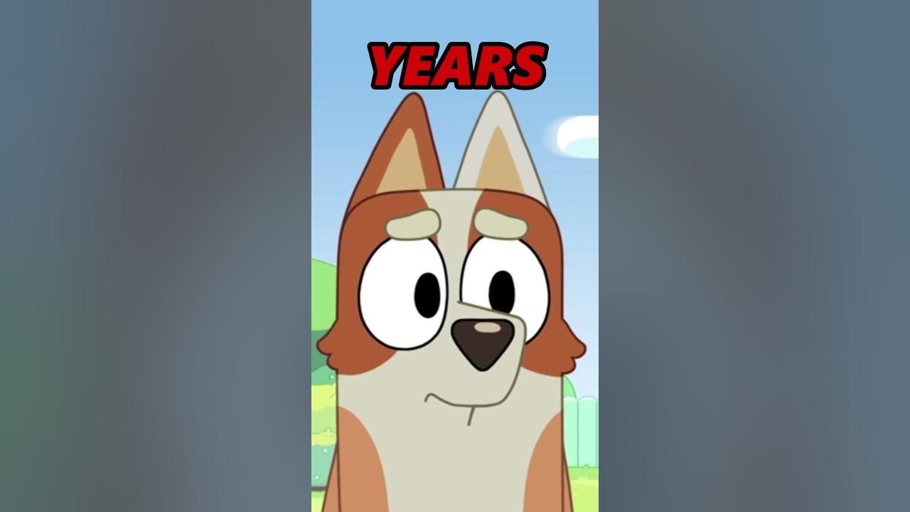 What Happened to Brandy?! shorts bluey YouTube