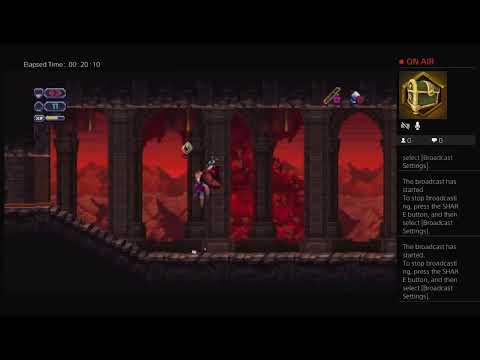 Video: Chasm Je Polirani Videz Castlevania-esque Roguelike Na Kickstarterju