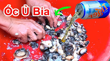 Ốc Ủ Bia ! Ăn 1 Lần Nhớ Cả Đời / Bắt Ốc Bươu Vàng Ngoài Đồng Và Cách Làm Sạch Ốc Nhanh Nhất