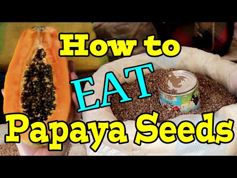 You Can Eat Papaya Seeds Weird Fruit Explorer Ep 358 Youtube,Greek Olive Oil Soap