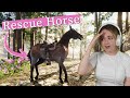 RIDING MY RESCUE HORSE! - Animal Shelter Horse Rescue DLC | Pinehaven