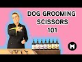 Dog grooming scissors 101