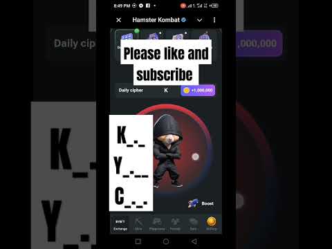 hamster Kombat daily