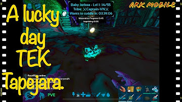 [Holly] || (Ark mobile) A lucky day, TEK Tapejara. S2ep10